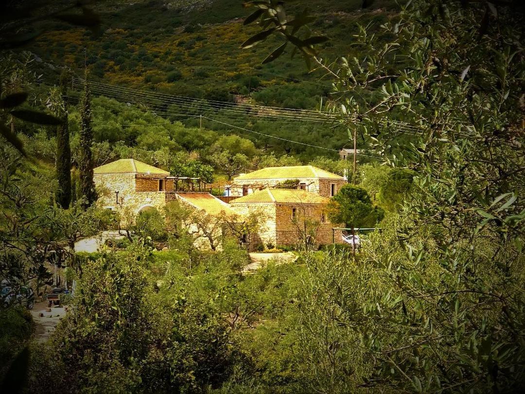 Tsivouli Accommodation Lithakia  Eksteriør billede
